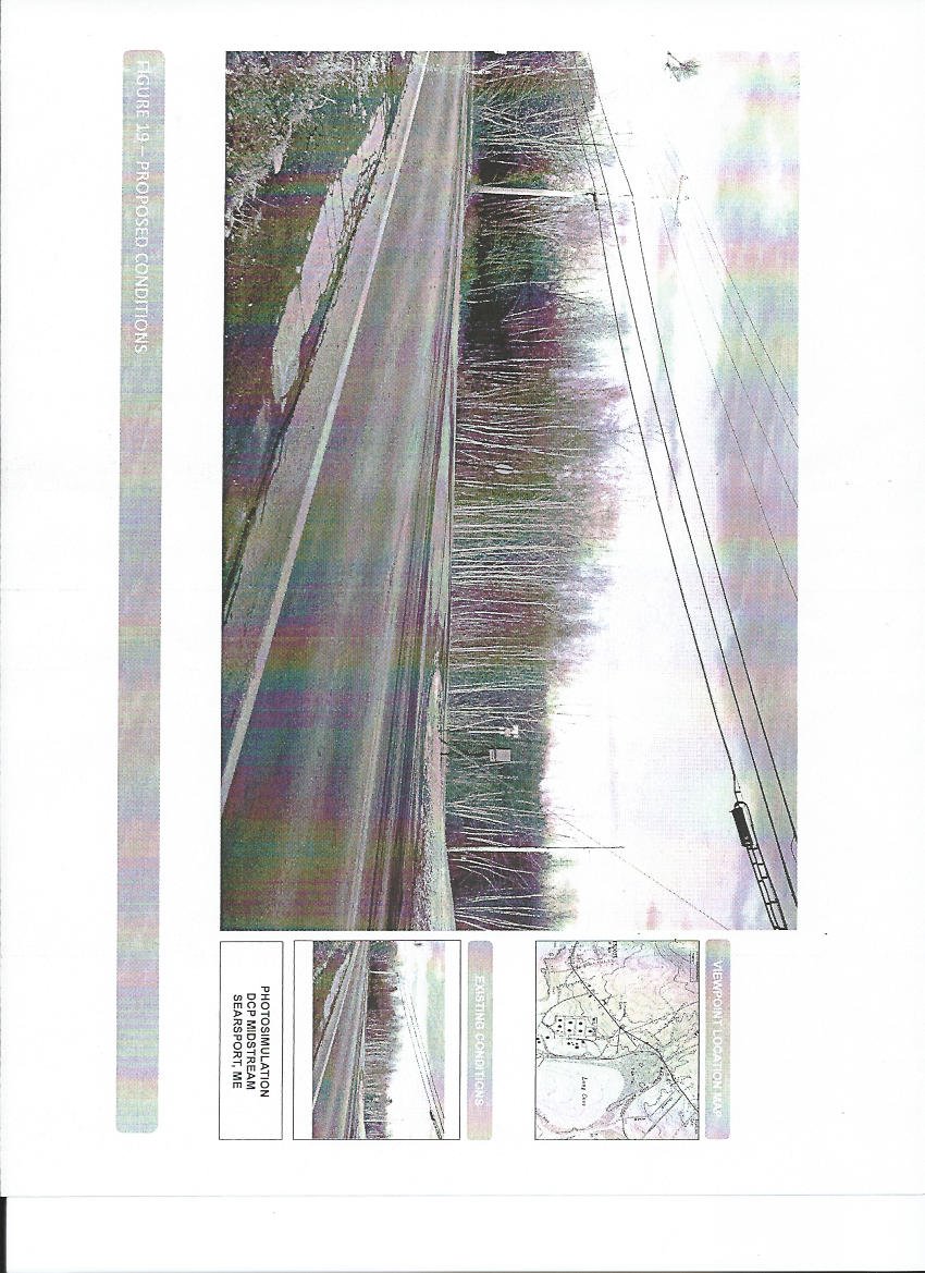 dcp_file_smiller_100611_visual_wallace2.jpg