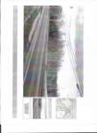 dcp_file_smiller_100611_visual_wallace2_small.jpg