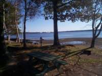 dcpsite_sshores1_small.jpg