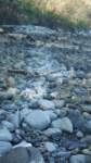 gacshore_cove2_092913_whitestripe_north_sm_small.jpg