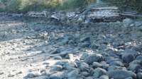 gacshore_cove2_092913_whitestripe_source_small.jpg