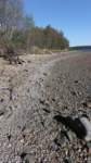gacshore_cove1_092913_whitestripe_southeast_small.jpg