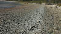 gacshore_cove1_093013_wastestripe_west2_small.jpg