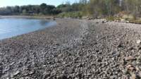 gacshore_cove1_093013_whitestripe_west1_small.jpg