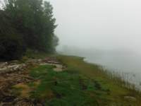 gac_090915_3a_foggy_dt_small.jpg