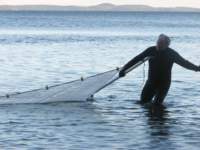 beachseine3a_small.jpg