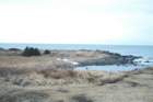 monhegan_021610_lobstercove01_small.jpg
