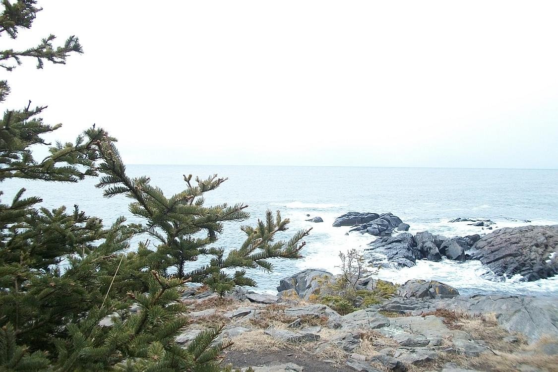 monhegan_021610_xmascove01.jpg