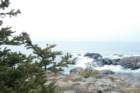 monhegan_021610_xmascove01_small.jpg