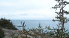 monhegan_021610_xmascove02_small.jpg