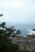 monhegan_021610_xmascove03_small.jpg