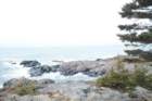 monhegan_021610_xmascove04_small.jpg