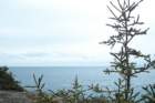 monhegan_021610_xmascove05_small.jpg