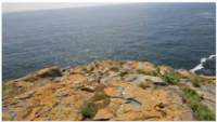 viewshed3days6_small.jpg