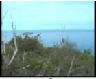viewshed087_small.jpg