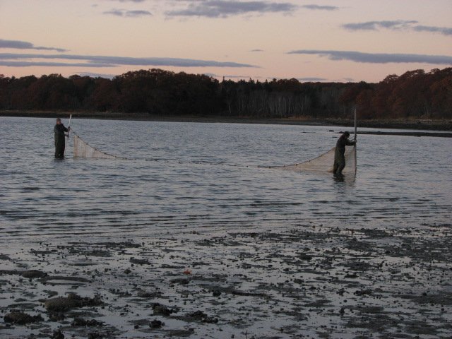 img_9190.jpg
