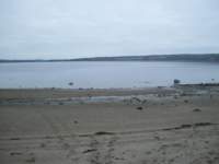_0470b_small.jpg
