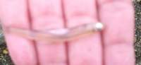 _0478b_small.jpg