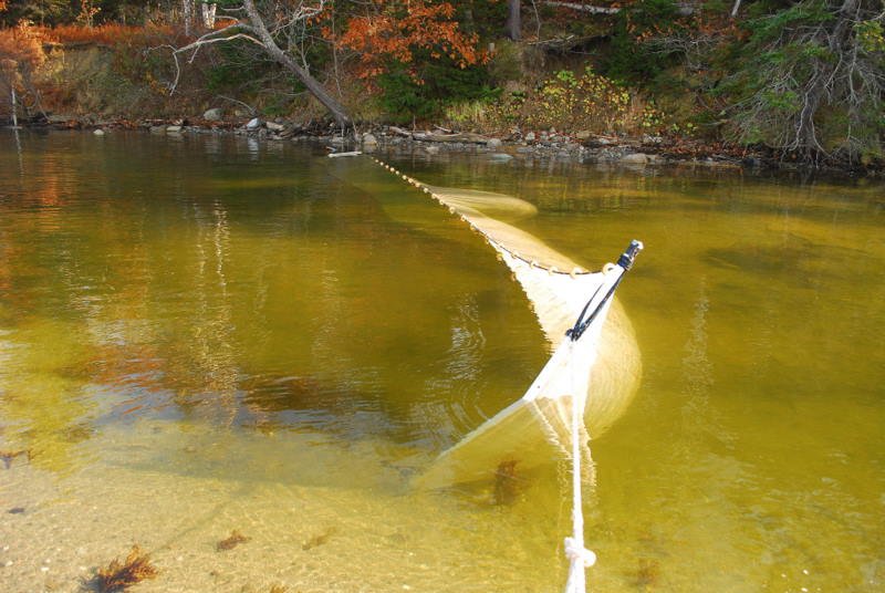 dsc_1378.jpg