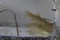 dsc_1568_small.jpg