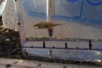 dsc_1576_small.jpg