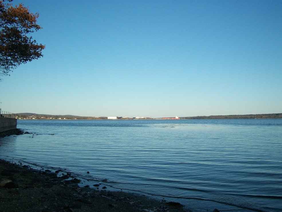 _0395b.jpg