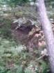 awassumkeagnetopdrystream3_small.jpg