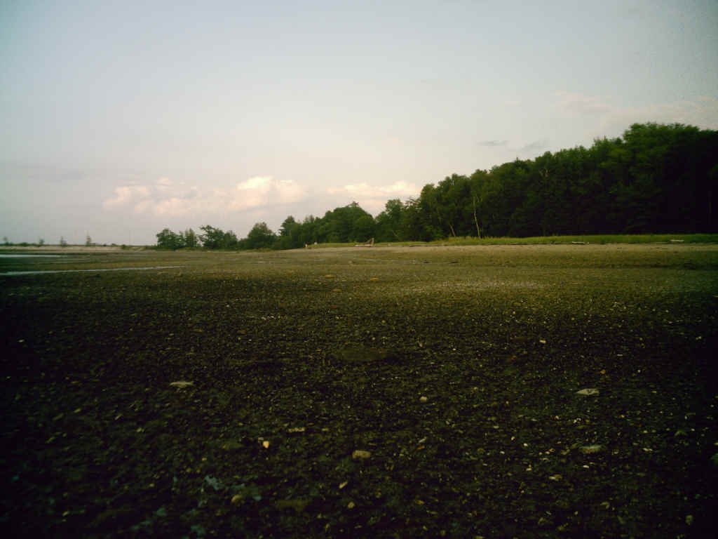 rwassumkeagsacrificezoneintertidalmusselandsand.jpg