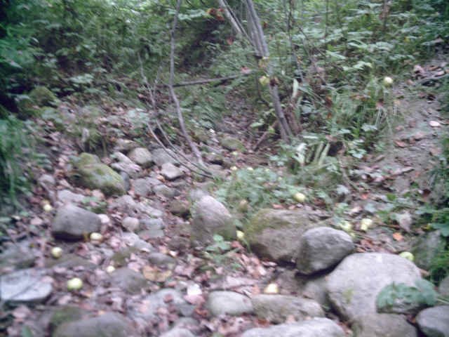 wassumkeagnetopdrystream.jpg