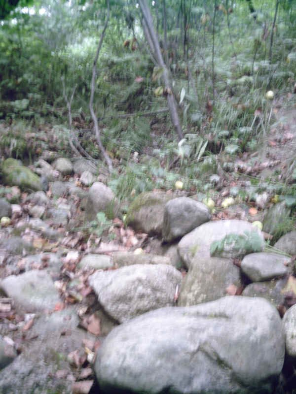 wassumkeagnetopdrystream2.jpg