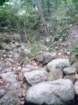 wassumkeagnetopdrystream2_small.jpg