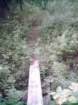 wwassumkeagnetopdrystreamfootpath_small.jpg