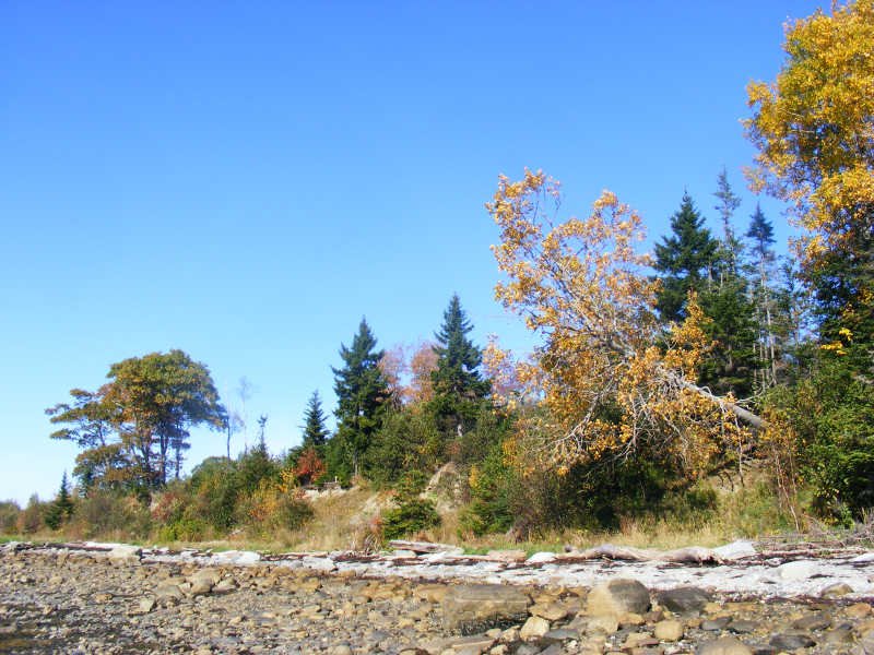 searsislandimage015f.jpg