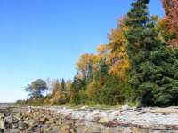 searsislandimage016f_small.jpg
