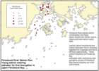 bnoaapairtrawlsurveyresultsofpostsmoltatlanticsalmonabundance2004a_small.jpg